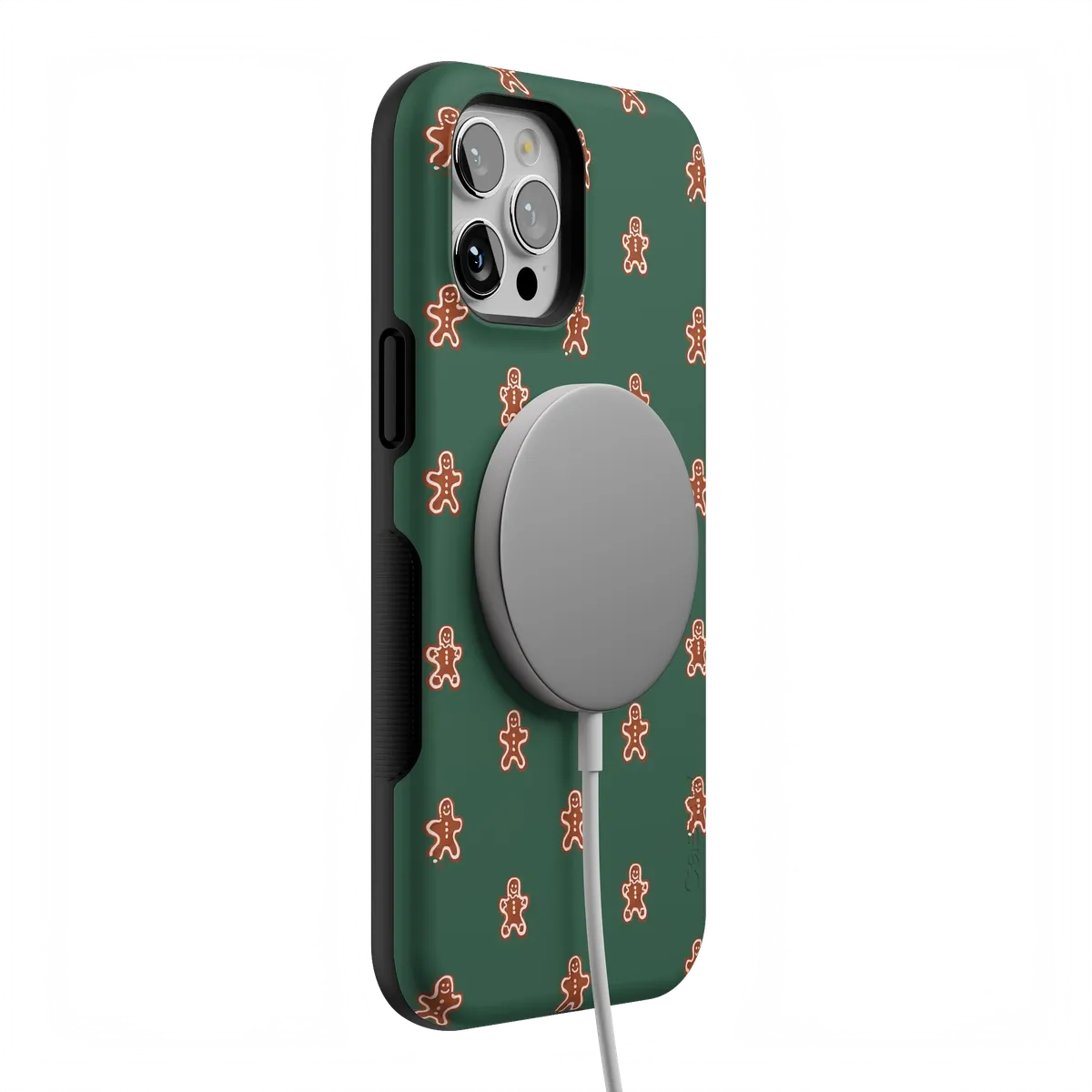 You Can't Catch Me | Gingerbread Man Case