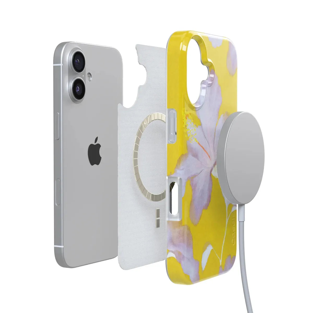 Hibiscus Haze | Painted Floral Case