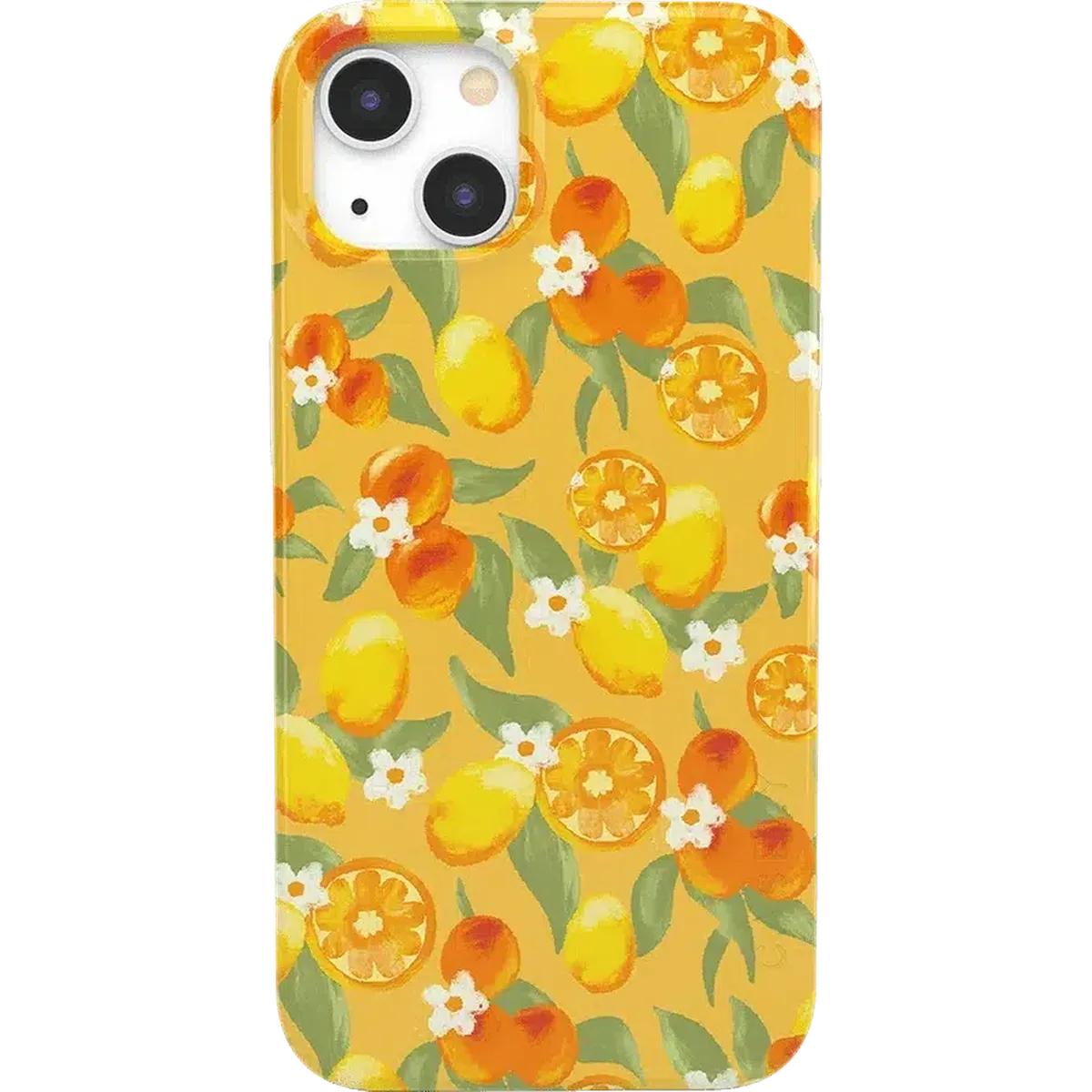 Positano | Dippin' Daisy's Italian Coast Case iPhone Case get.casely Classic iPhone 13 Mini