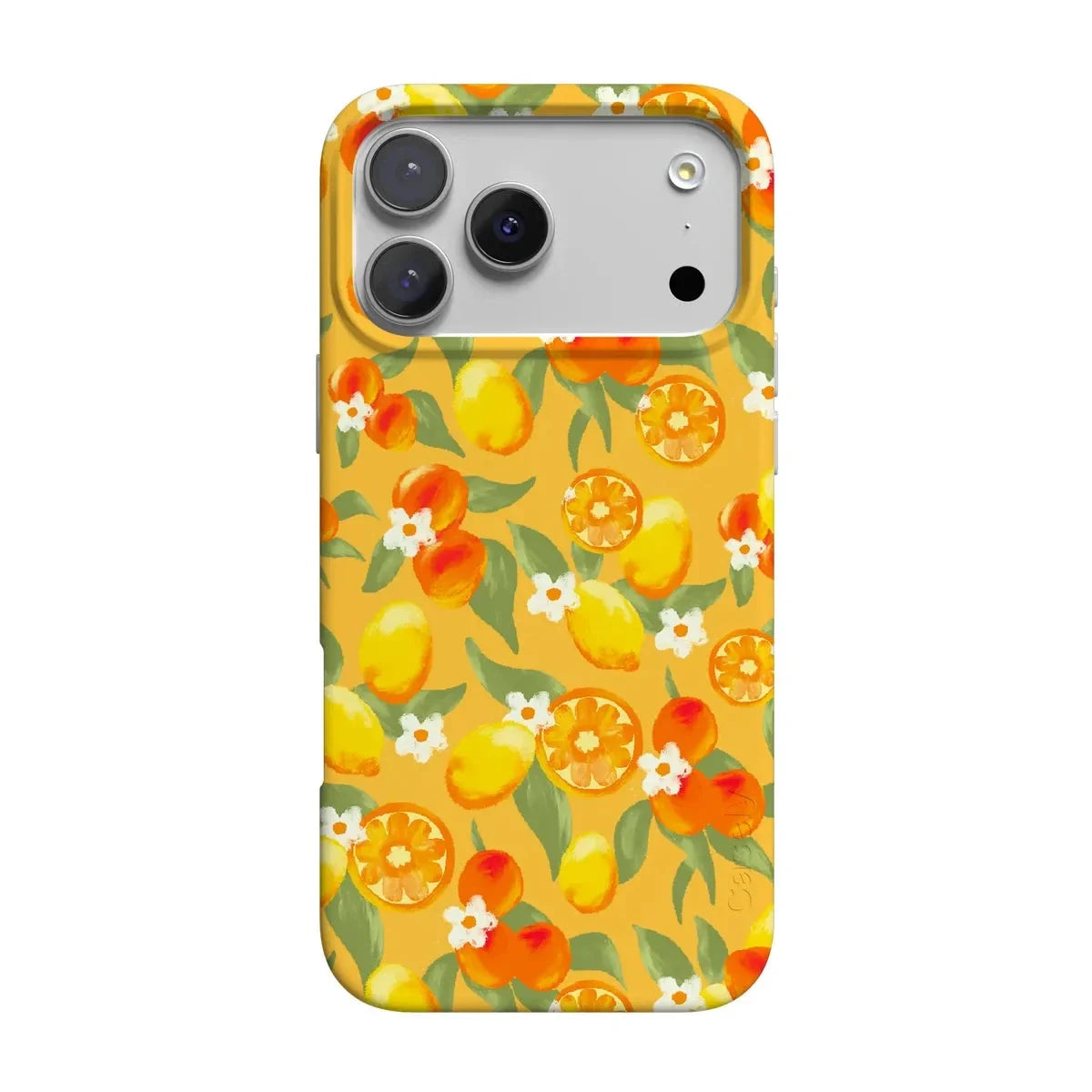 Positano | Dippin' Daisy's Italian Coast Case iPhone Case get.casely Classic + MagSafe® iPhone 17 Pro Max